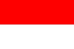 Indonesia National Team