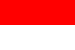Indonesia National Team